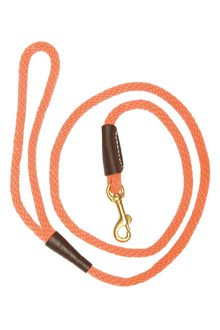 Orange dog leash with carabiner