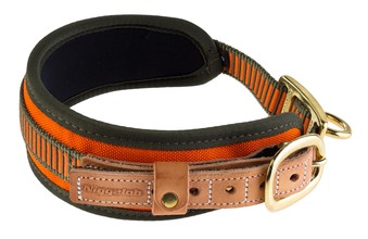 Neon Orange Blood Dog Collar - Niggeloh