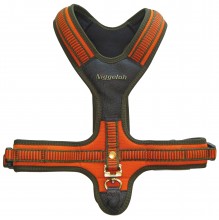 Orange Neoprene Harness for Dog - Niggeloh