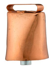 Photo COPPER BELL