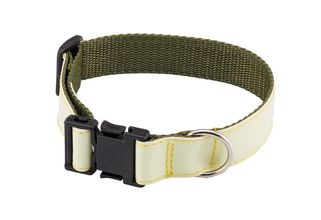 Collier luminescent pour chien - Country
