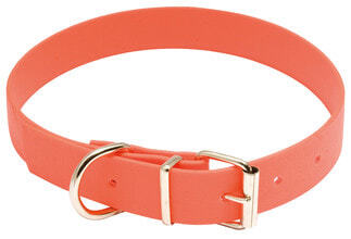 Biothane dog collar in fluorescent orange - Country