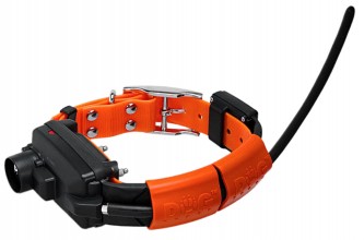 Collier seul  GPS, Beeper et Dressage pour chiens ...