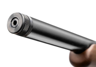 Photo CR389-04.jpg CHIAPPA Carabine Bushranger 18.5'' 22LR