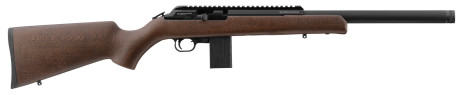 Photo CR389-11.jpg CHIAPPA Bushranger 18.5'' 22LR Rifle