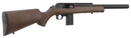 Photo CR389-12.jpg CHIAPPA Bushranger 18.5'' 22LR Rifle