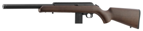 Photo CR389-17.jpg CHIAPPA Bushranger 18.5'' 22LR Rifle