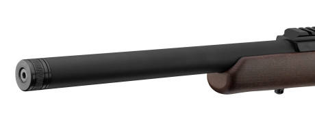 Photo CR389-18.jpg CHIAPPA Bushranger 18.5'' 22LR Rifle