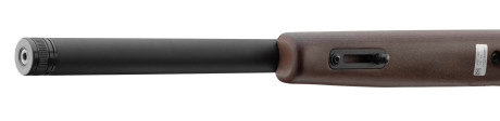 Photo CR389-20.jpg CHIAPPA Bushranger 18.5'' 22LR Rifle