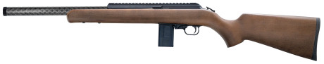 Photo CR389S-02.jpg CHIAPPA Carabine Bushranger Adamantium Silencieuse 22LR