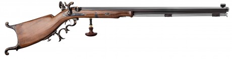 Photo DPS23445-1 Waadtländer caliber 45 rifle
