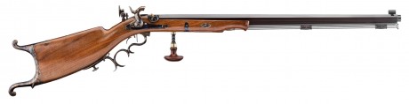Photo DPS23445-7 Waadtländer caliber 45 rifle