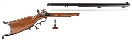 Photo DPS23445-9 Waadtländer caliber 45 rifle