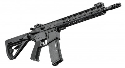 Photo LE2041-5.jpg AEG AR15 Replica Carbine FE Arcturus