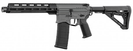 Replica R15 mod 1 Zion Arms black/grey long hand guard