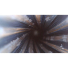 Photo LYM279-07.jpg Caméra d’inspection Lyman Borecam 2.0