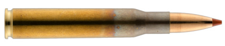 Photo MGC7806-2.jpg Geco Cal. 30-06 - munition grande chasse