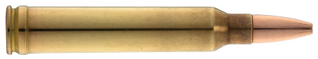 Photo MGC7809-1.jpg GECO .300 Win. Mag. PLUS 170 gr / 11,0 g