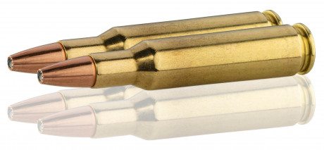 Photo MN224-03.jpg Norma .222 Winchester Varmint Xtreme hunting cartridges