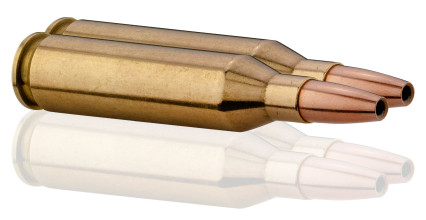 Photo MN243-TAB.jpg Norma .243 Winchester balle VerminXtreme 76gr / 4,9g