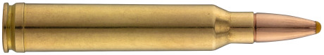 Photo MN300-02.jpg Norma .300 Win Mag Plastic Point 180 grains / 11,7 g