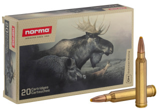 Photo MN300.jpg Norma .300 Win Mag Plastic Point 180 grains / 11,7 g