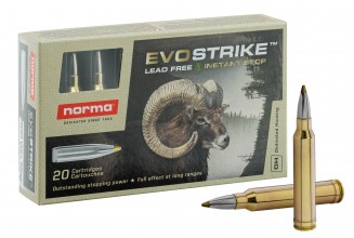 Norma .300 Win Mag EVOSTRIKE 139 grains / 9 g