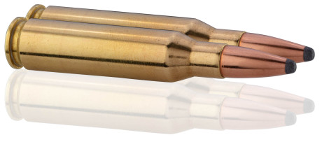 Photo MN862-04.jpg Norma 7mm-08 Remington Whitetail 150 grains / 9,7 g