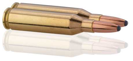 Photo MN866-TAB.jpg Norma .243 Winchester Whitetail 100 grains / 6,5 g