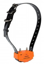 Photo NUM317-22.jpg NUM'AXES - Ensemble de dressage CANICOM 1000 orange