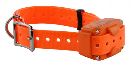 Photo NUM317P-01.jpg NUM'AXES - Ensemble de dressage CANICOM 1000 orange