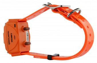 Photo NUM317P-04.jpg NUM'AXES - Ensemble de dressage CANICOM 1000 orange