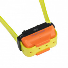 Photo NUM335R-01 Num'Axes Canicom R training collar yellow strap