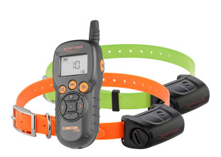 Kit Collier d'éducation Canicom 5.500 - 500m