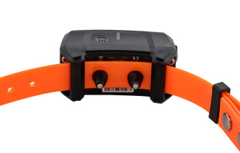 Photo NUM370P2-16.jpg Num'Axes Canicom 5.1500 Pack 2 chiens