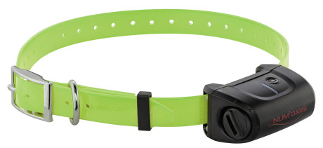 Photo NUM380.jpg Num'Axes Collier dressage Canicom 5 supp.