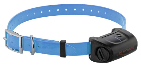 Photo NUM385.jpg Num'Axes Collier dressage Canicom 5 supp.