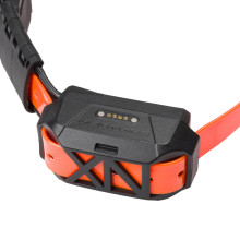 Photo NUM407-06.jpg Ensemble de localisation CANICOM GPS MINI avec stimulation – NUM’AXES