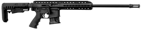 Deep Pallas BA-15 22 LR rifle