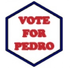 Sentinel Gear Patch VOTE FOR PEDRO