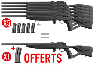 Pack 6 carabines BO Equality Maker 22LR + chargeurs