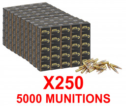 5000 Ammunition ATS 5.56x45 mm FMJ 55 gr / 3.56 g