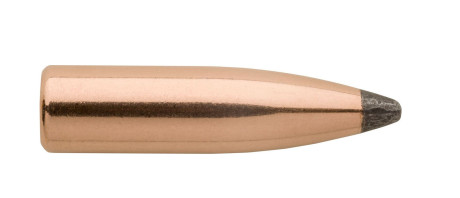 Ogives Sierra Pro-Hunter