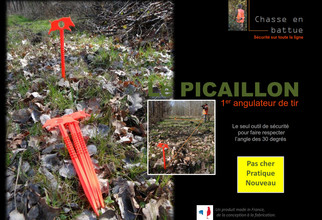 Picaillon shooting angulator