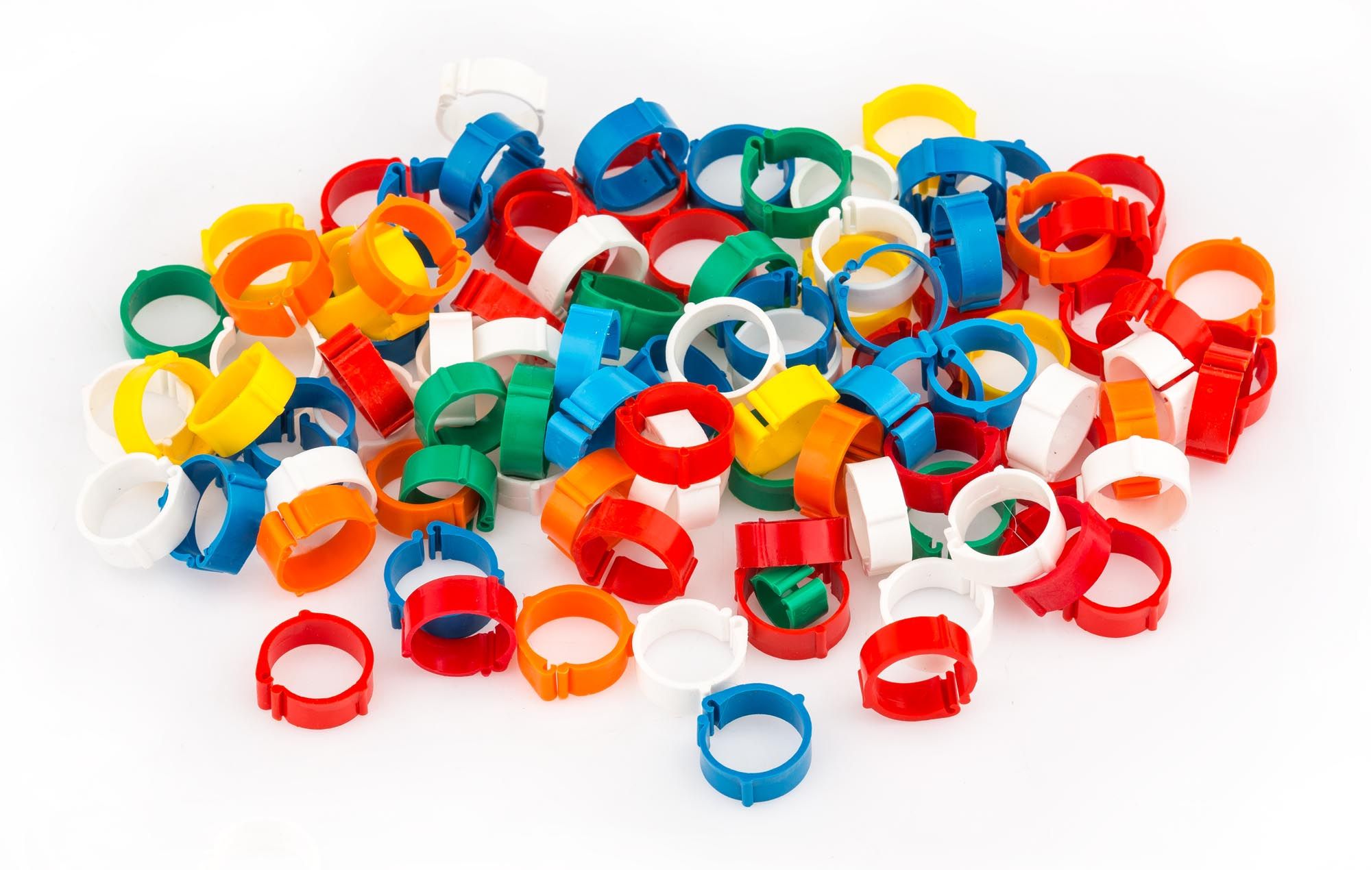 Bagues de Repérage Clips pour Colvert 12 mm Bagues de Repérage Clips pour Colvert 12 mm